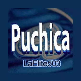 LaElite503