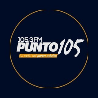 Punto 105.3 FM
