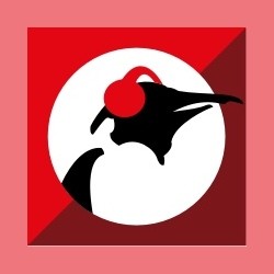 Pinguin Pluche