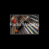 Radio Mustang
