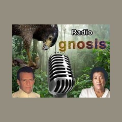 Radio Gnosis