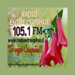 Radio Entre Copihue 105.1 FM