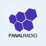 Panal Radio