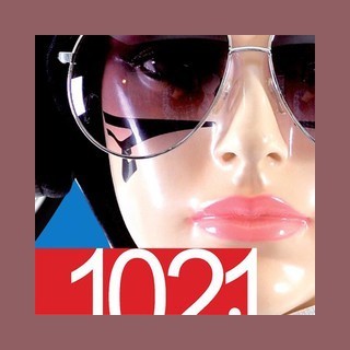 Sonido 102.1 FM