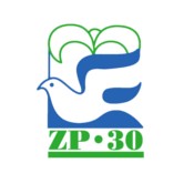 Radio ZP 30