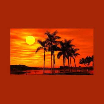 24/7 Deep Sleep Music Relaxing Music Insomnia Sleep Relaxing Music Study Sleep Meditation