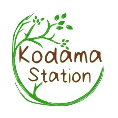 Kodama Station
