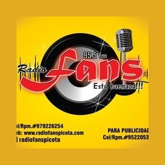 RADIO FANS PICOTA