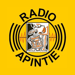 Apintie Suriname 97.1 - Powered by Bombelman.com