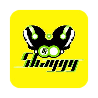 Dj Shaggy Venezuela