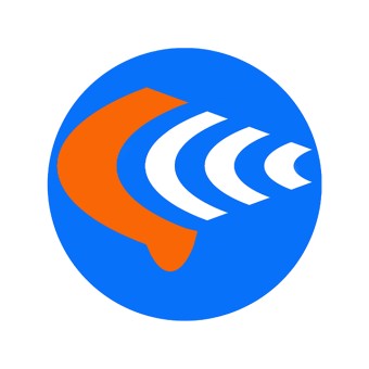 Loostad Radio 1395 AM