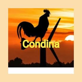 Condina Virtual