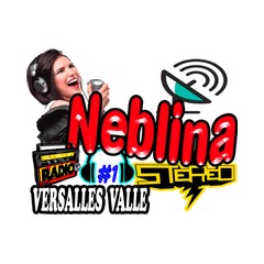 Neblina Stereo