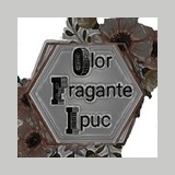 Olor Fragante Ipuc