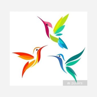 Colibri Digital