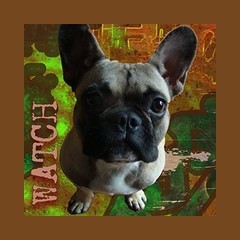 Watchdog Radio