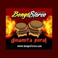 Bongo Stereo