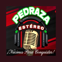 Pedraza Estereo