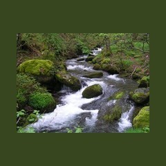 Ondas del Rio Guarapas 103.5