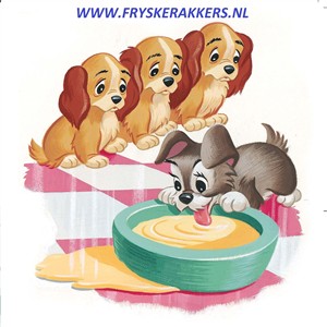 Fryskerakkers