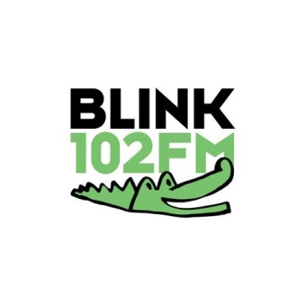 Rádio Blink 102 FM
