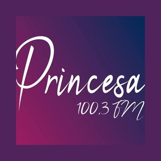 Rádio Princesa FM 100.3
