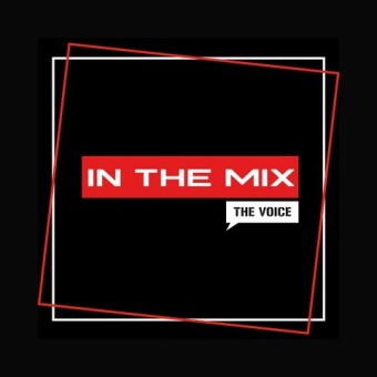 The Voice In The Mix