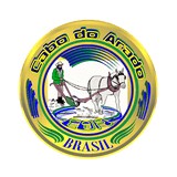 Rádio Cabo do Arado