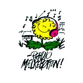 Radio Maelkeboetten