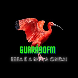 Guará 90 FM