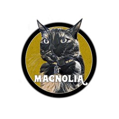 Magnolia Web Radio