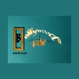 Bollywood Gold Revivals