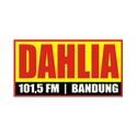 Radio Dahlia