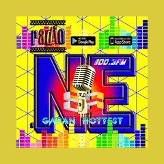 Radio NE FM 100.3 Gapan City