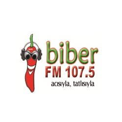 BIBER FM