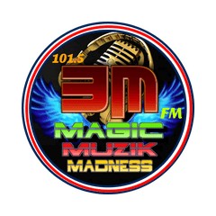 3MFM