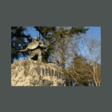 Viriato 2010