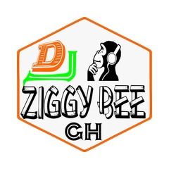 Dj Ziggy Bee Pro